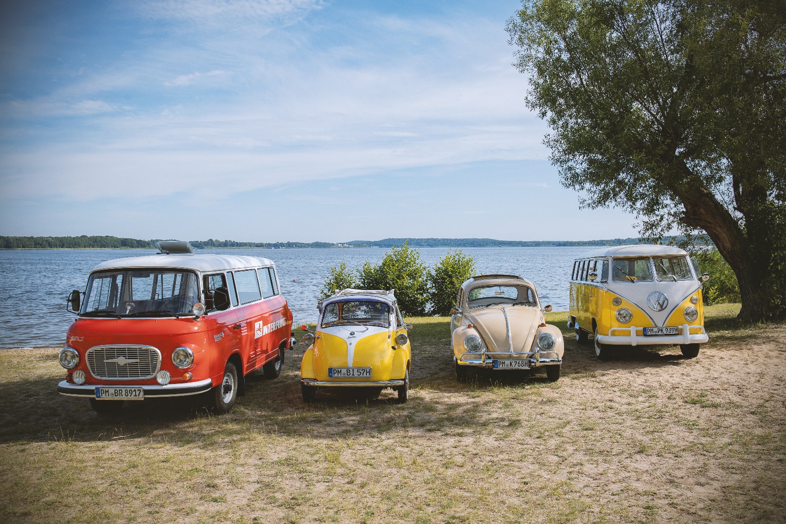 header_image